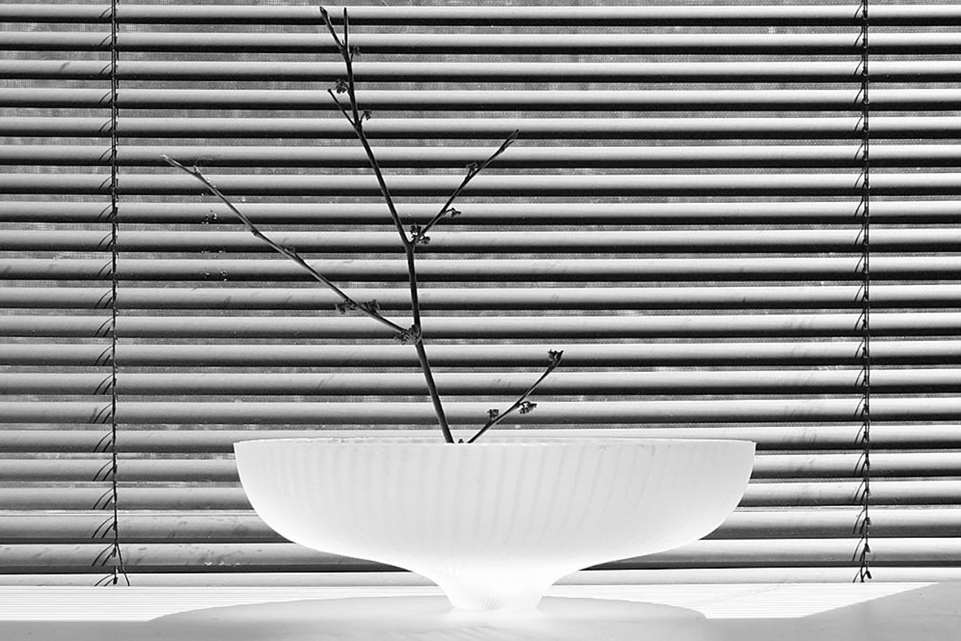 Estores Interiores Venezianos
